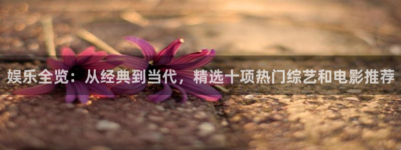 杏宇在线：娱乐全览：从经典到当代，精选十项热门综艺和电影推荐