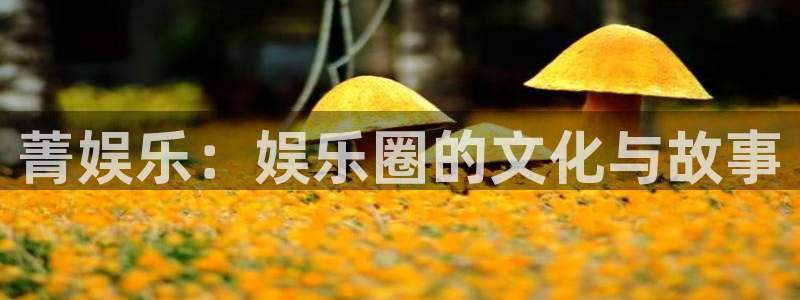 杏宇娱乐：菁娱乐：娱乐圈的文化与故事