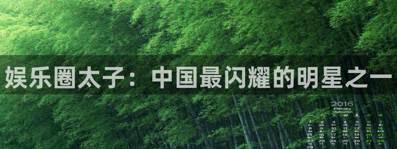 杏宇代理：娱乐圈太子：中国最闪耀的明星之一