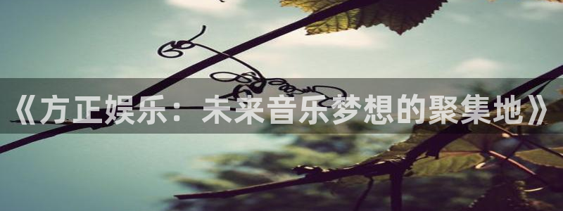 杏宇在线：《方正娱乐：未来音乐梦想的聚集地》