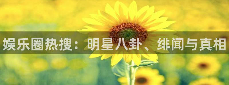 杏宇：娱乐圈热搜：明星八卦、绯闻与真相