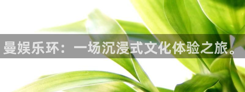 杏宇娱乐：曼娱乐环：一场沉浸式文化体验之旅。