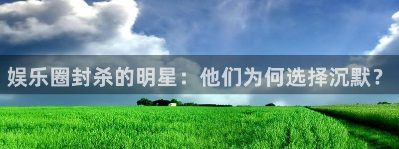 杏宇代理：娱乐圈封杀的明星：他们为何选择沉默？